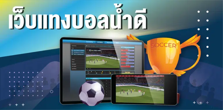 เว็บแทงบอล ค่าน้ำดี